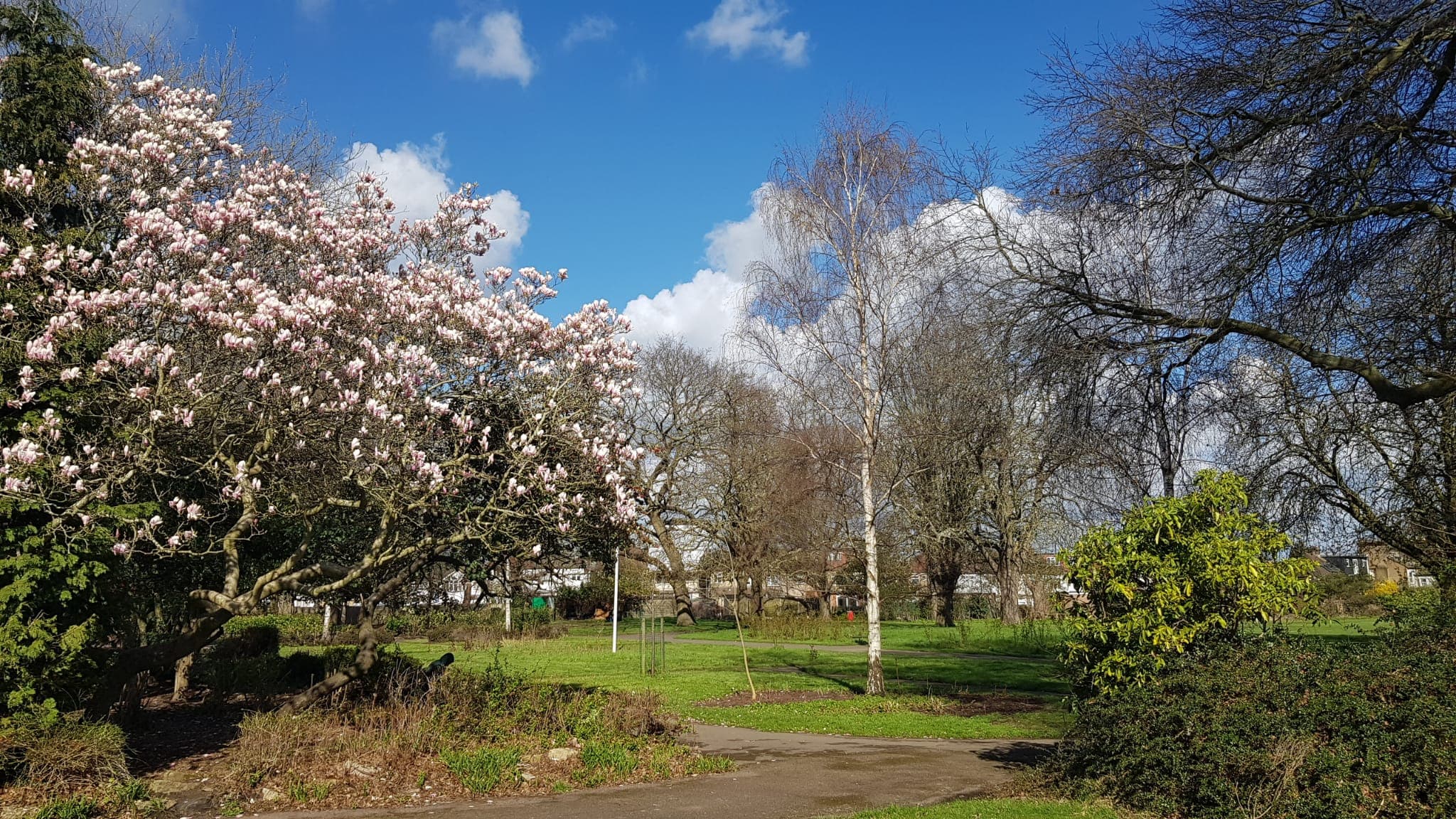 Southbury residents association WhatsApp photo 05