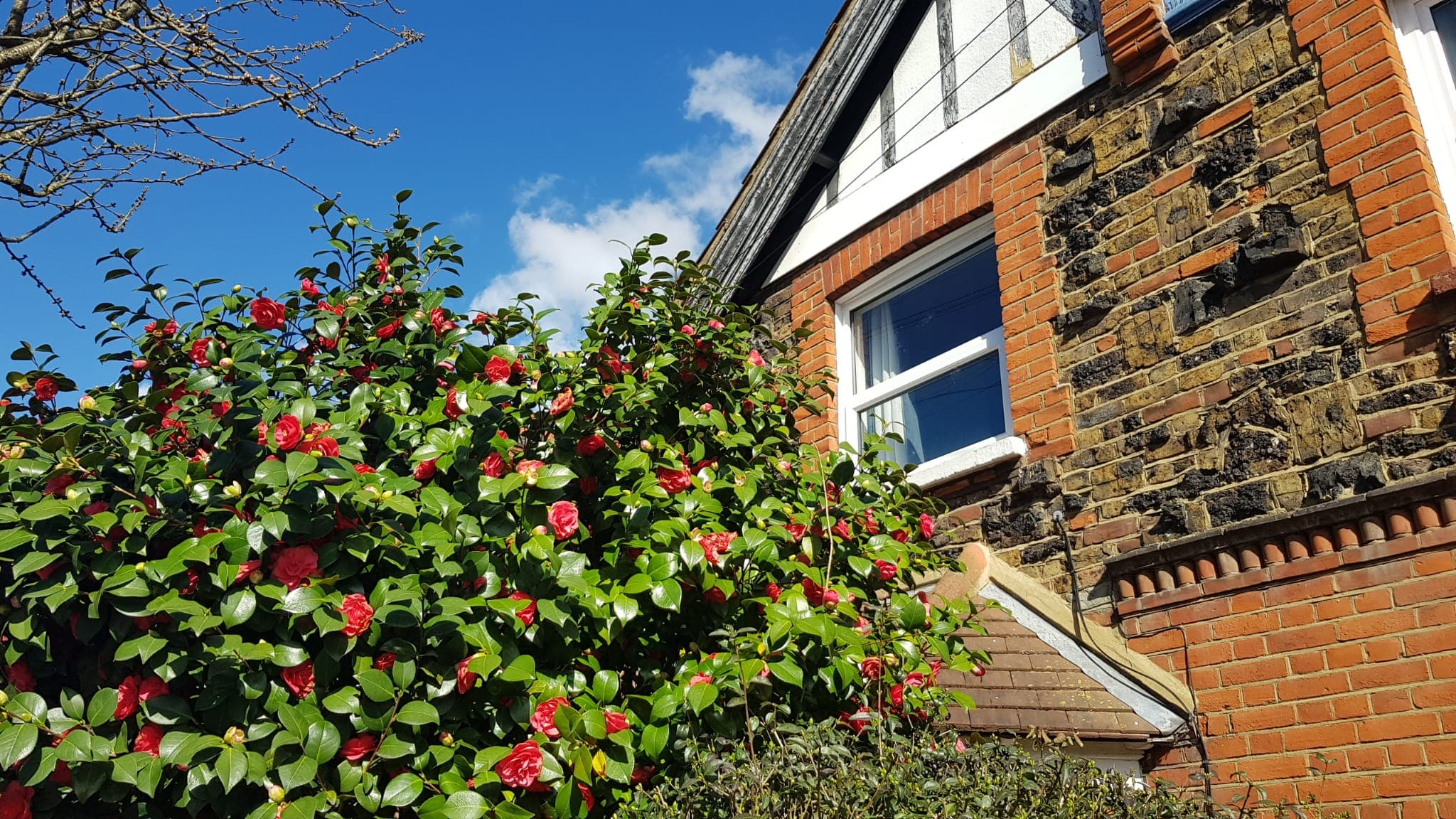 Southbury residents association WhatsApp photo 06
