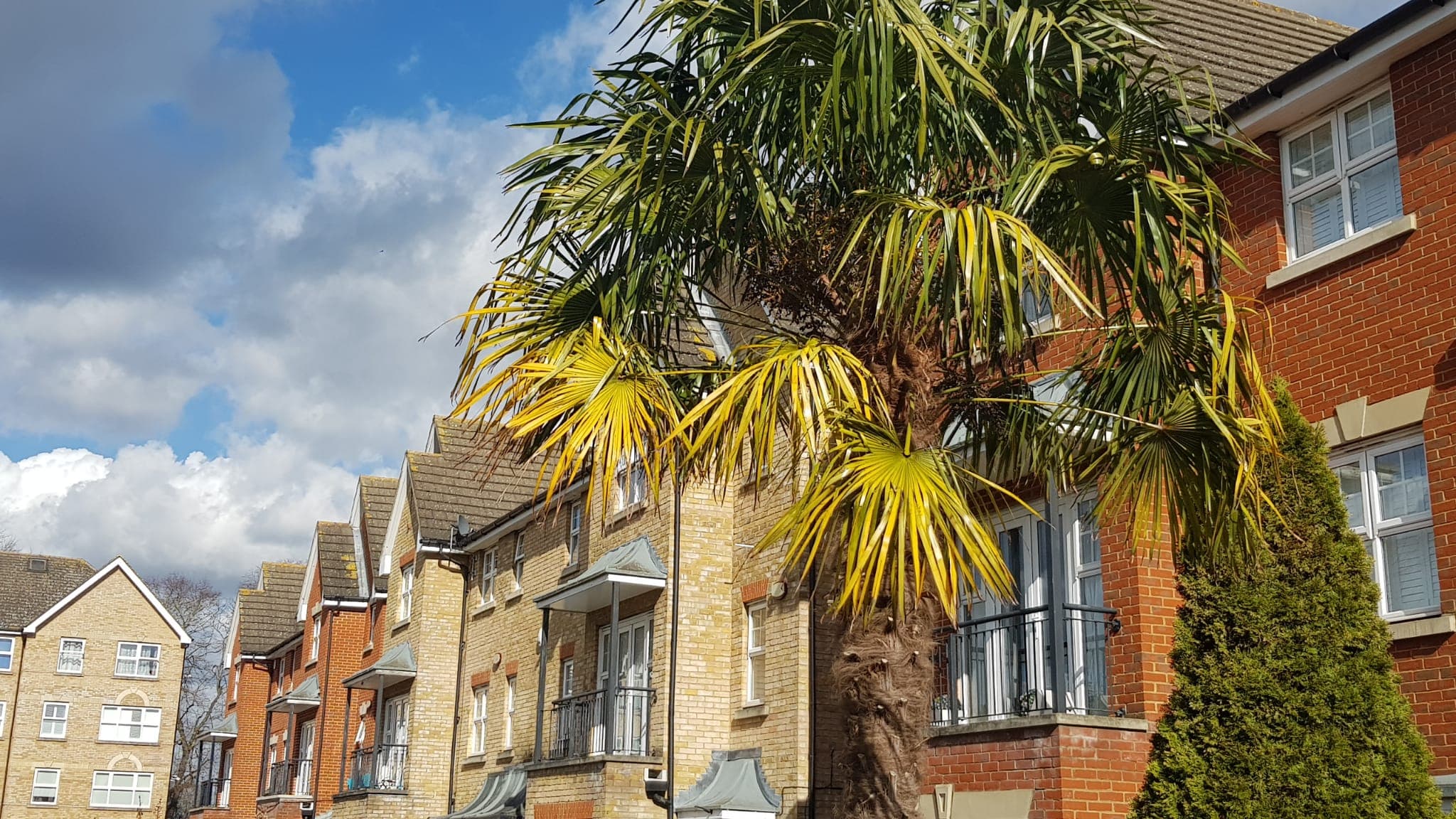 Southbury residents association WhatsApp photo 10