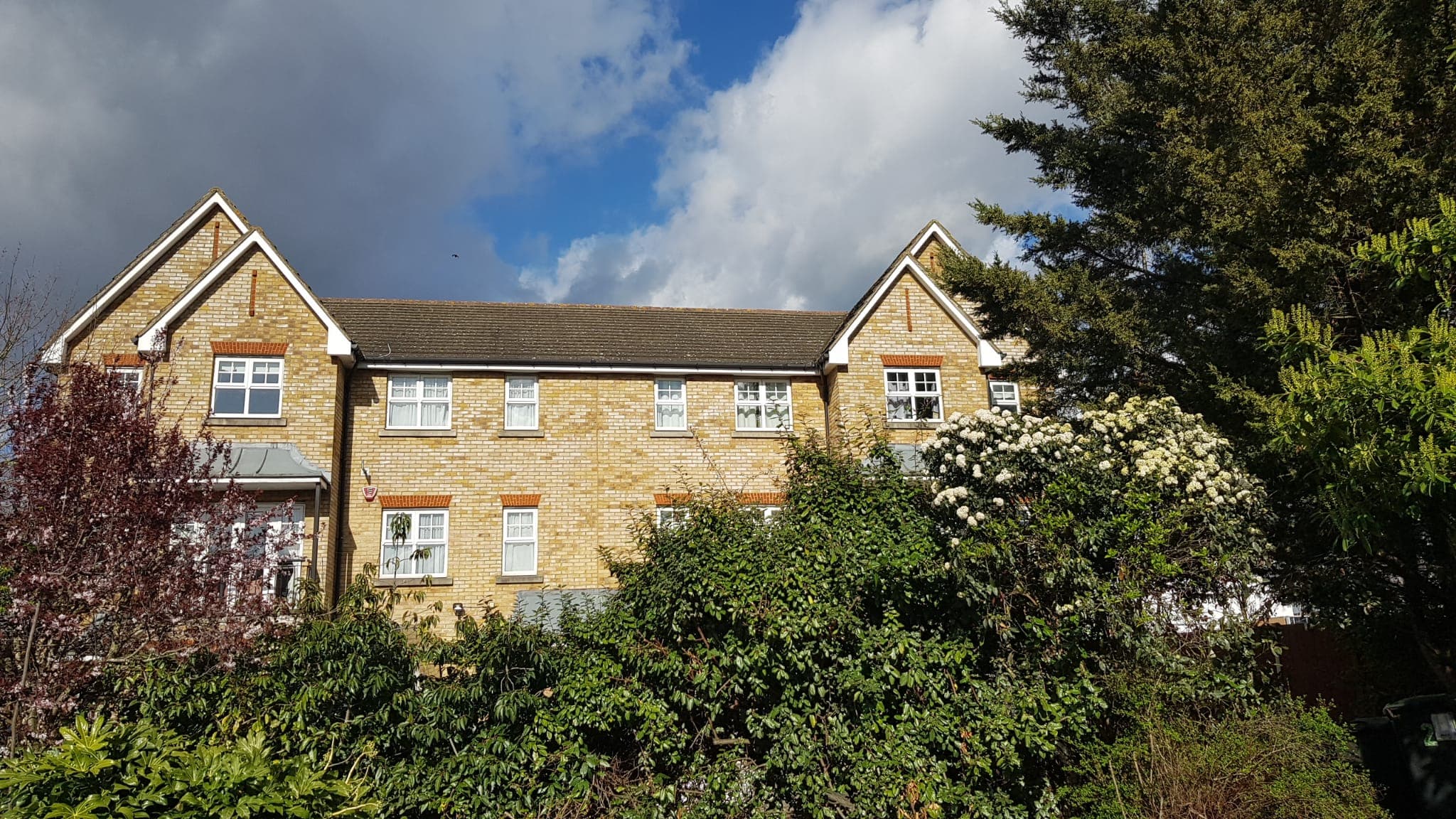 Southbury residents association WhatsApp photo 11