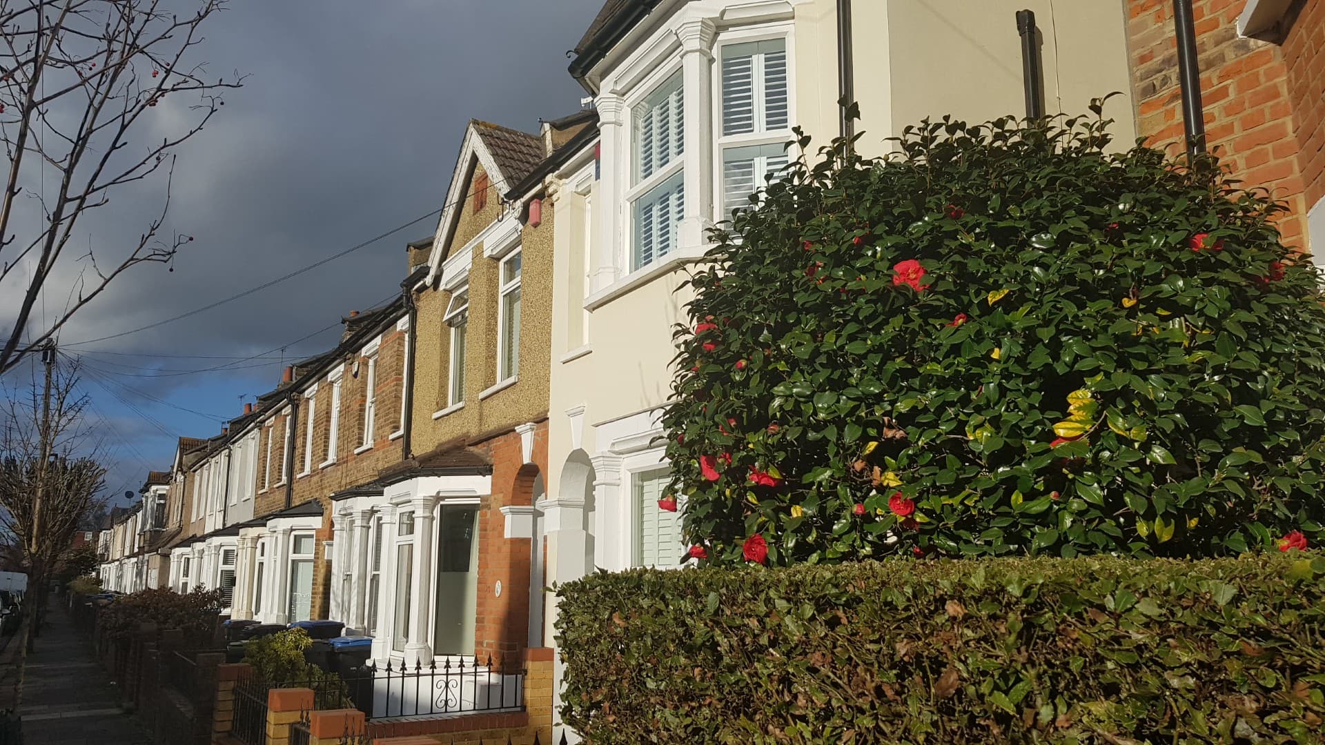Terraced homes in Southbury